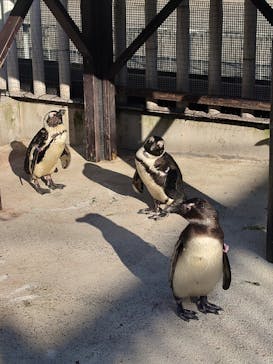 横浜・八景島シーパラダイスに投稿された画像（2024/11/26）