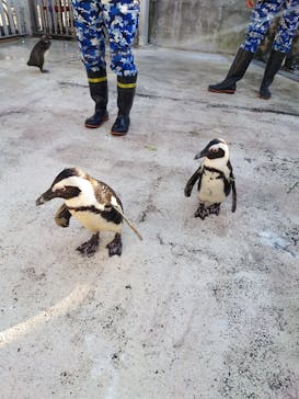 横浜・八景島シーパラダイスに投稿された画像（2024/11/26）