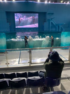 横浜・八景島シーパラダイスに投稿された画像（2024/11/26）