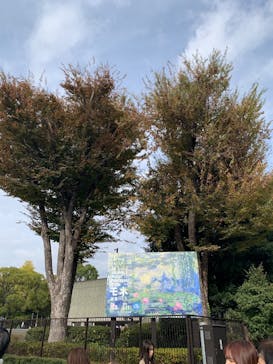 モネ 睡蓮のとき（国立西洋美術館）に投稿された画像（2024/11/26）