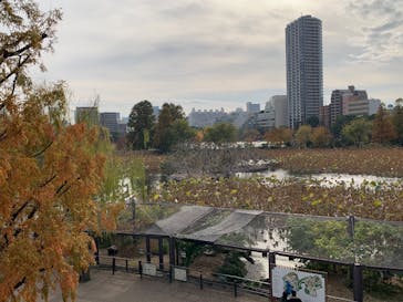 恩賜上野動物園に投稿された画像（2024/11/26）