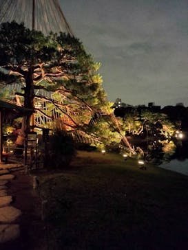 六義園に投稿された画像（2024/11/26）