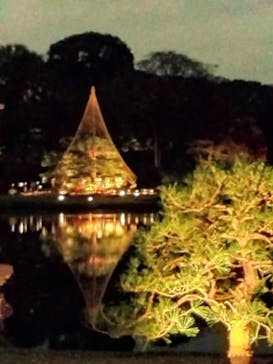 六義園に投稿された画像（2024/11/26）