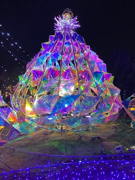 江の島シーキャンドルに投稿された画像（2024/11/26）