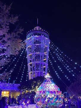 江の島シーキャンドルに投稿された画像（2024/11/26）