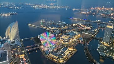 横浜ランドマークタワー 69階展望フロア スカイガーデンに投稿された画像（2024/11/26）