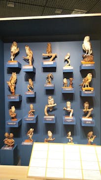 特別展「鳥 ～ゲノム解析が解き明かす新しい鳥類の系統～」国立科学博物館に投稿された画像（2024/11/26）