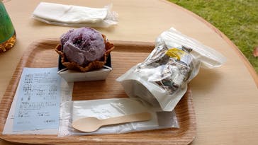 彫刻の森美術館に投稿された画像（2024/11/26）