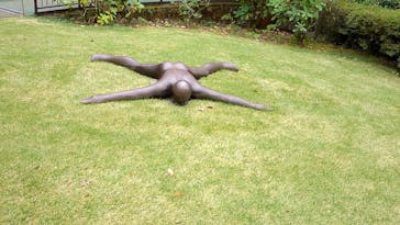 彫刻の森美術館に投稿された画像（2024/11/26）