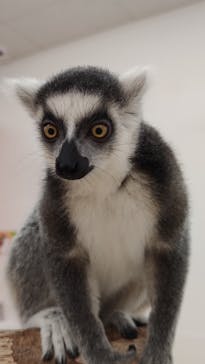 アニタッチ MARK IS 静岡に投稿された画像（2024/11/26）