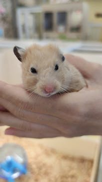 アニタッチ MARK IS 静岡に投稿された画像（2024/11/26）