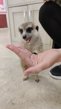 アニタッチ MARK IS 静岡に投稿された画像（2024/11/26）