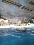 名古屋港水族館に投稿された画像（2024/11/27）