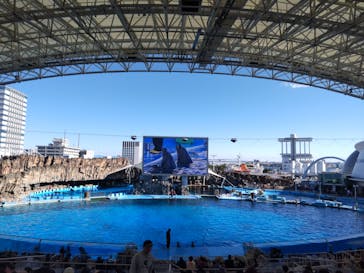 名古屋港水族館に投稿された画像（2024/11/26）