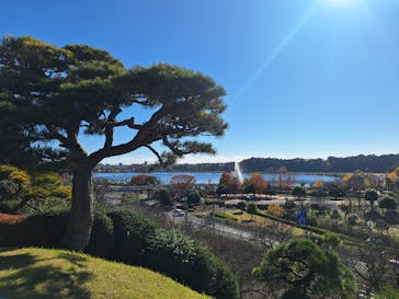 偕楽園本園に投稿された画像（2024/11/26）