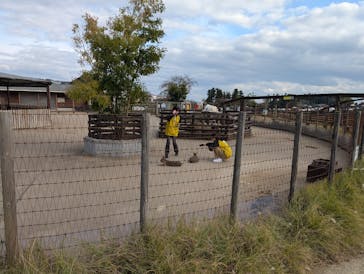 マザー牧場に投稿された画像（2024/11/26）