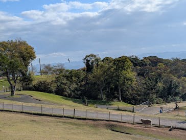 マザー牧場に投稿された画像（2024/11/26）