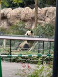 恩賜上野動物園に投稿された画像（2024/11/27）
