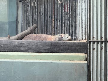 名古屋市東山動植物園に投稿された画像（2024/11/26）