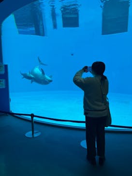 名古屋港水族館に投稿された画像（2024/11/26）