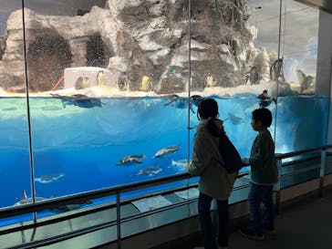 名古屋港水族館に投稿された画像（2024/11/26）