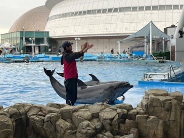 名古屋港水族館に投稿された画像（2024/11/26）