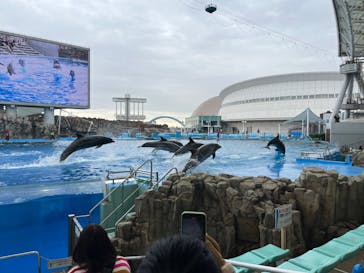 名古屋港水族館に投稿された画像（2024/11/26）