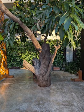 掛川花鳥園に投稿された画像（2024/11/26）