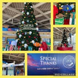 新江ノ島水族館に投稿された画像（2024/11/27）