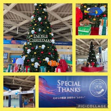 新江ノ島水族館に投稿された画像（2024/11/26）