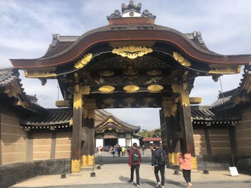 元離宮二条城に投稿された画像（2024/11/27）