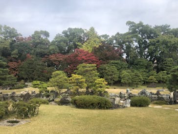 元離宮二条城に投稿された画像（2024/11/27）