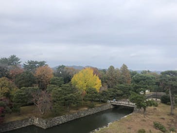 元離宮二条城に投稿された画像（2024/11/27）