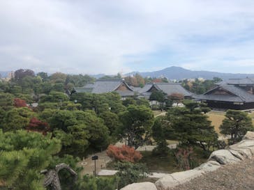 元離宮二条城に投稿された画像（2024/11/27）