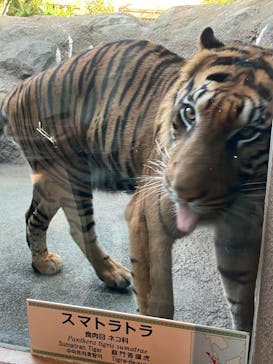 名古屋市東山動植物園に投稿された画像（2024/11/27）