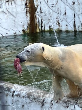 名古屋市東山動植物園に投稿された画像（2024/11/27）
