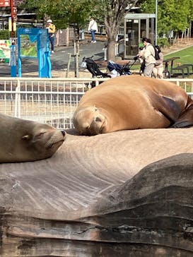 名古屋市東山動植物園に投稿された画像（2024/11/27）