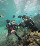 沖縄マリンサービス碧に投稿された画像（2024/11/27）