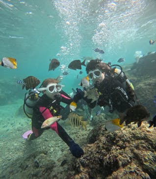 沖縄マリンサービス碧に投稿された画像（2024/11/27）