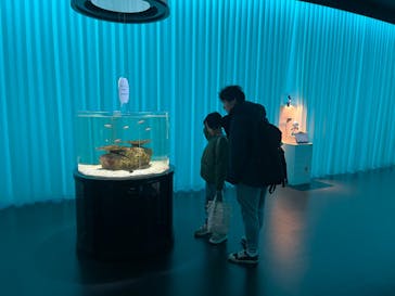 NIFREL（ニフレル）に投稿された画像（2024/11/27）