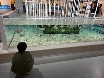 NIFREL（ニフレル）に投稿された画像（2024/11/27）