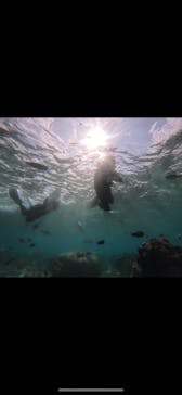 武藤潜水に投稿された画像（2024/11/27）