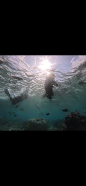 武藤潜水に投稿された画像（2024/11/27）