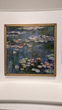 モネ 睡蓮のとき（国立西洋美術館）に投稿された画像（2024/11/27）