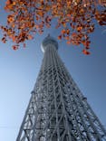 東京スカイツリーに投稿された画像（2024/11/27）