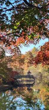 ムーミンバレーパークに投稿された画像（2024/11/27）