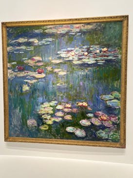 モネ 睡蓮のとき（国立西洋美術館）に投稿された画像（2024/11/27）