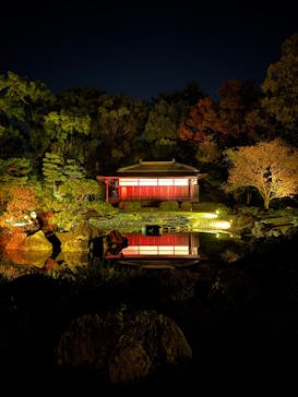 NAKED meets 二条城 2025 観月に投稿された画像（2024/11/27）