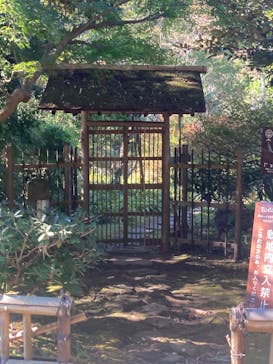 たからの窯に投稿された画像（2024/11/27）