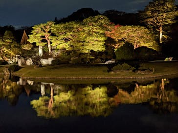 六義園に投稿された画像（2024/11/27）